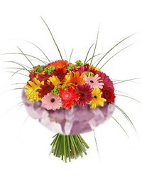букет разноцветных гербер